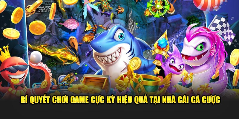 Bí quyết chơi game cực kỳ hiệu quả tại nhà cái cá cược