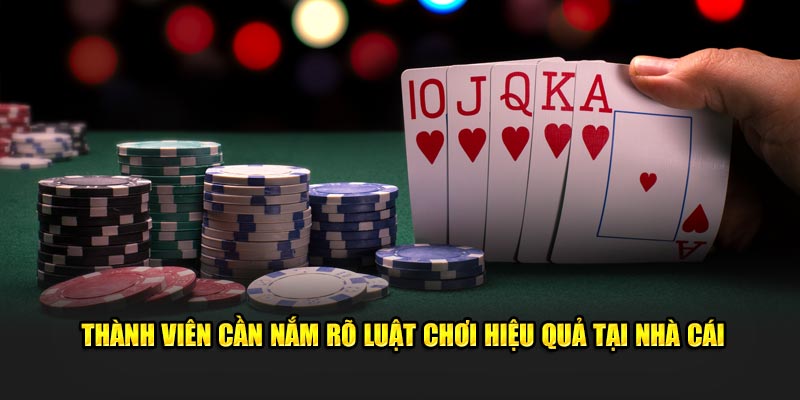 Thành viên cần nắm rõ luật chơi hiệu quả tại nhà cái