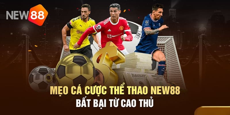 Học hỏi các kỹ năng kiến thức từ các cao thủ