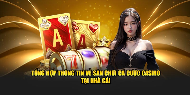 Tổng hợp dữ liệu về sân chơi cá cược casino tại nhà cái